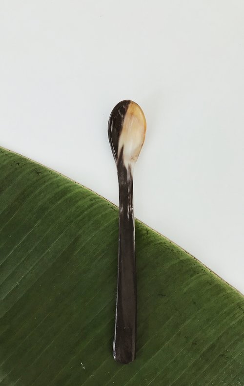 Horn Spoon Long